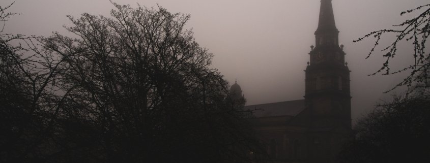 brown cathedral photograph